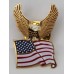 Eagle on Stars & Stripes Flag Lapel Badge / Hat Pin